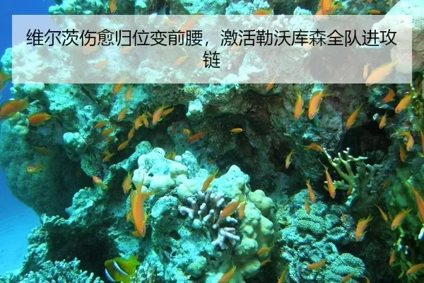 维尔茨伤愈归位变前腰，激活勒沃库森全队进攻链