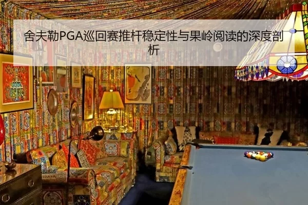 she-fu-lei-xun-hui-sai-tui-gan-wen-ding-xing-yu-guo-ling-yue-du-de-shen-du-pou-xi-2-887.jpg
