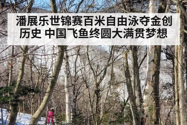 潘展乐世锦赛百米自由泳夺金创历史 中国飞鱼终圆大满贯梦想